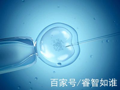胚胎培养室